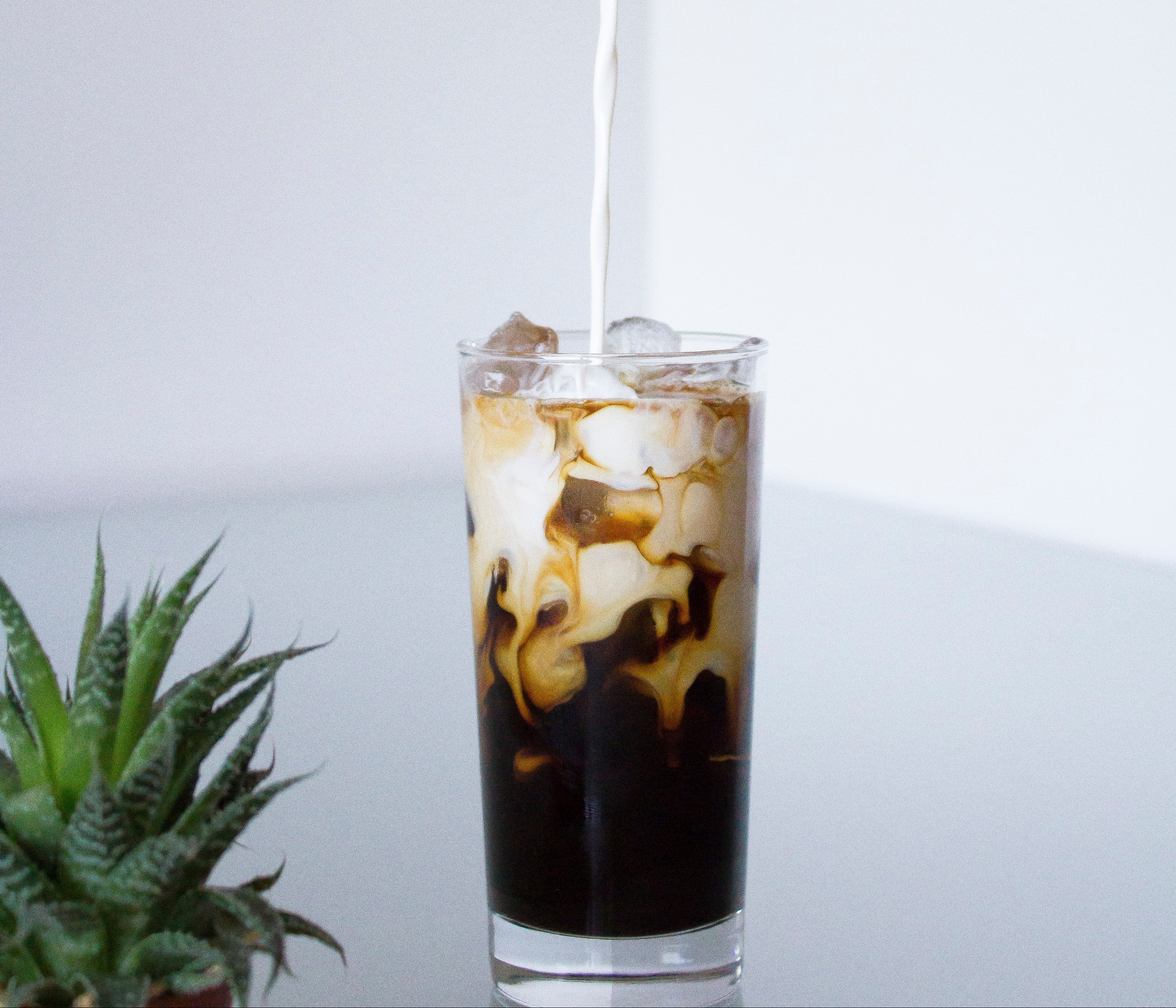 Glass of iced coffee with a plant in the background ready to be enjoyed with ELEVO Nutrition